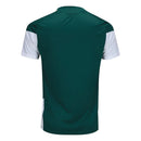Camisa Itália Treino 2026 - Verde