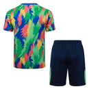 Conjunto Brasil Treino 25/26 - Verde