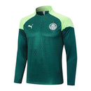 Conjunto Agasalho Treino Palmeiras 23/24 - Verde