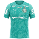 Camisa Palmeiras 26/27 Treino Com Patrocínios - Torcedor Puma Masculina - Verde